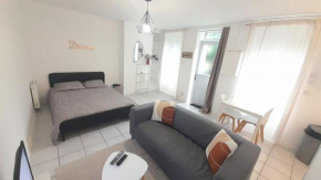 Studio RDC l'Auron- wifi - cour